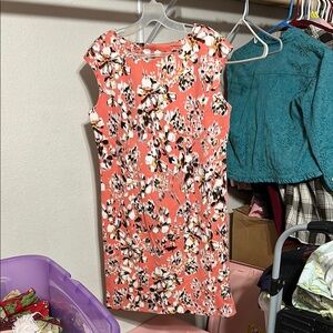 Cato Sleeveless Crew Neck dress